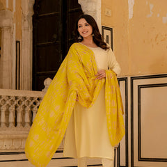 Women Embroidered Straight Kurta Suit Set